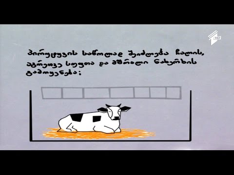 \"ფერმა\" - სასარგებლო რჩევები  - ფერმისთვის საჭირო პირობების უზრუნველყოფა