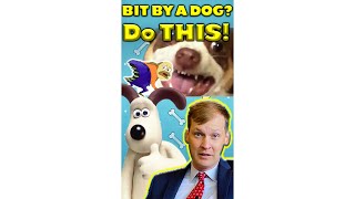 Bit by a dog? Do THIS!🐶 Net Worth