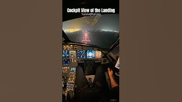 Cockpit View of the Landing #airbus #aviation #pilot