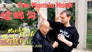 Mantis Kung Fu fighting application