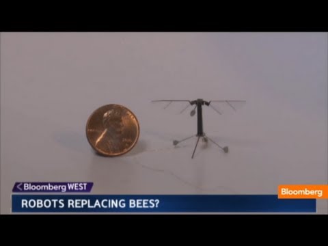Robobees To The Rescue?