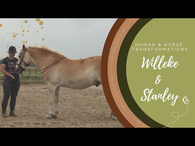 Transformation of Willeke & Stanley | Human & Horse Academy