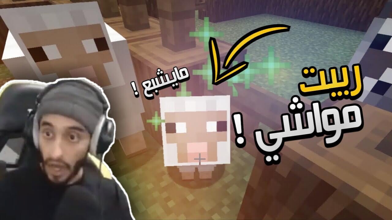 خروفي جاب بيبي كيوت?❤️ Minecraft