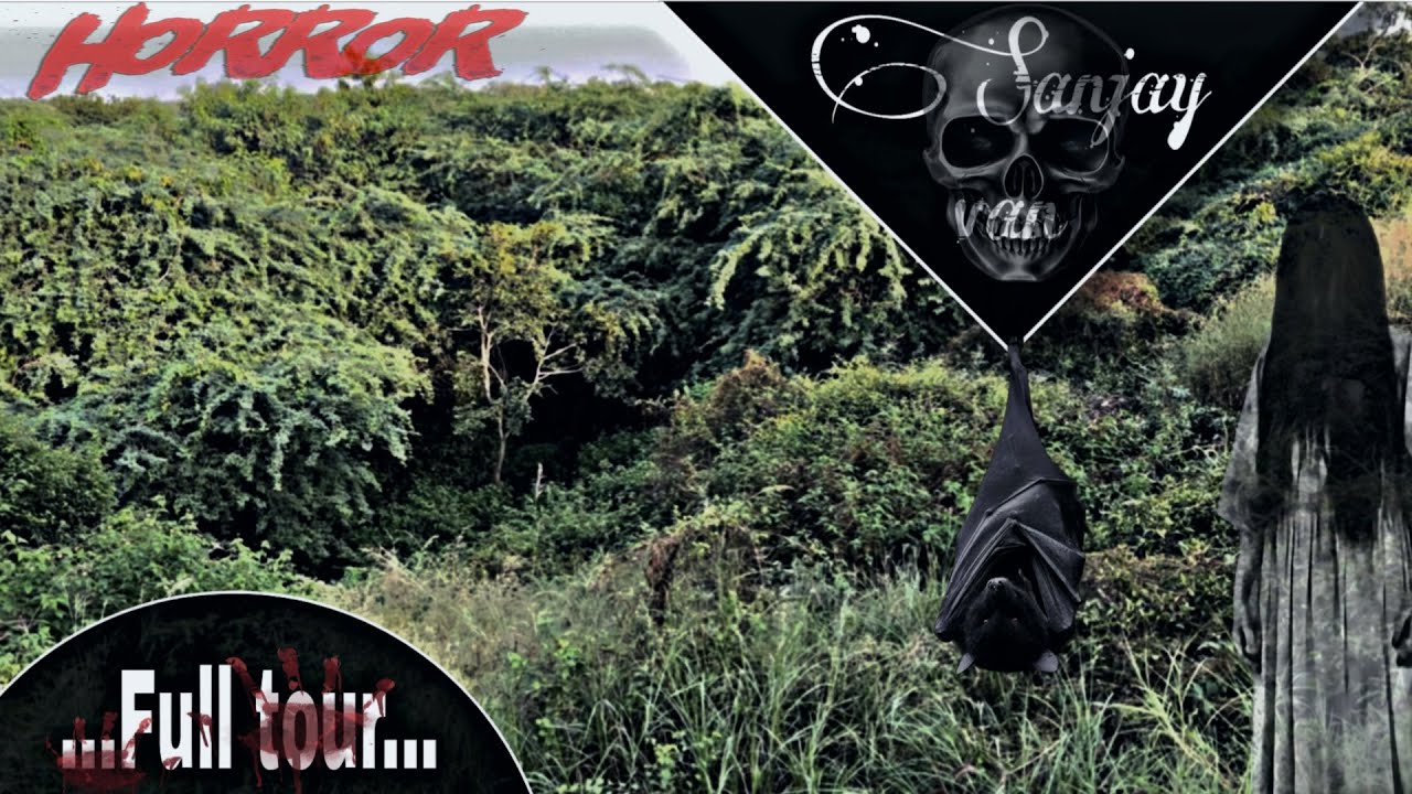 ☠️ Most haunted place in Delhi. Sanjay van 🌳 forest. Full tour with detail’s.