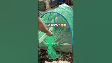 How to net raised beds 🌱🌱🌱