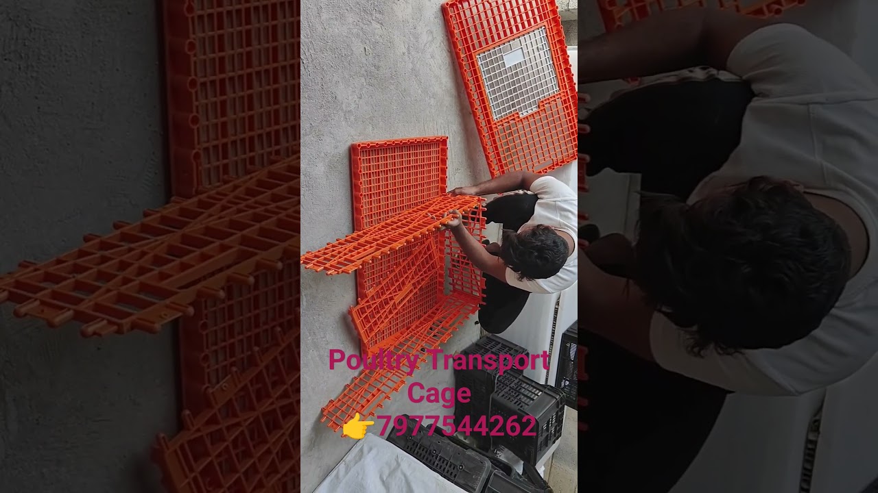 Poultry Transport Box