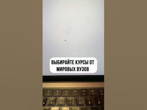 Как получить сертификат Гарварда? #shorts - YouTube