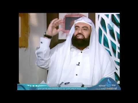 هل يجوز قتل القطط المؤذية د متولي البراجيلي