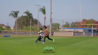 EAU GALLIE HIGH (a MELLOWSKIES edit)