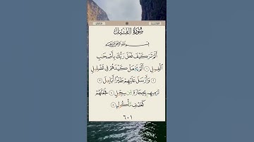 قرآن كريم/ سورة الفيل #قران_كريم #quran #قرآن #relaxing #راحة_نفسية #رقية