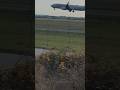 American Airlines 737 landing at Vancouver International Airport DFW-YVR #yvrplanespotting