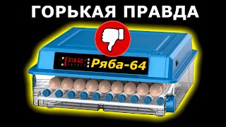 Ряба 64 Откровенный Обзор на Инкубатор