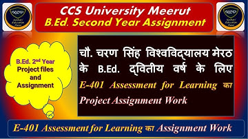 E-401 Assessment for Learning का Assignment Work 👇🏻👇🏻👇🏻                   (Achievement test file)