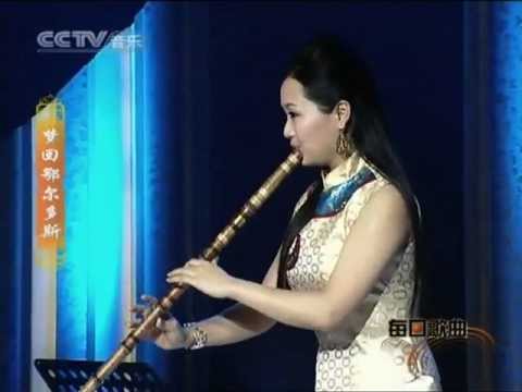 Dream back to Ordos-Chen Yue