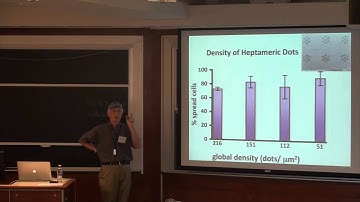 Cell Mechanosensing: A Step by Step Process