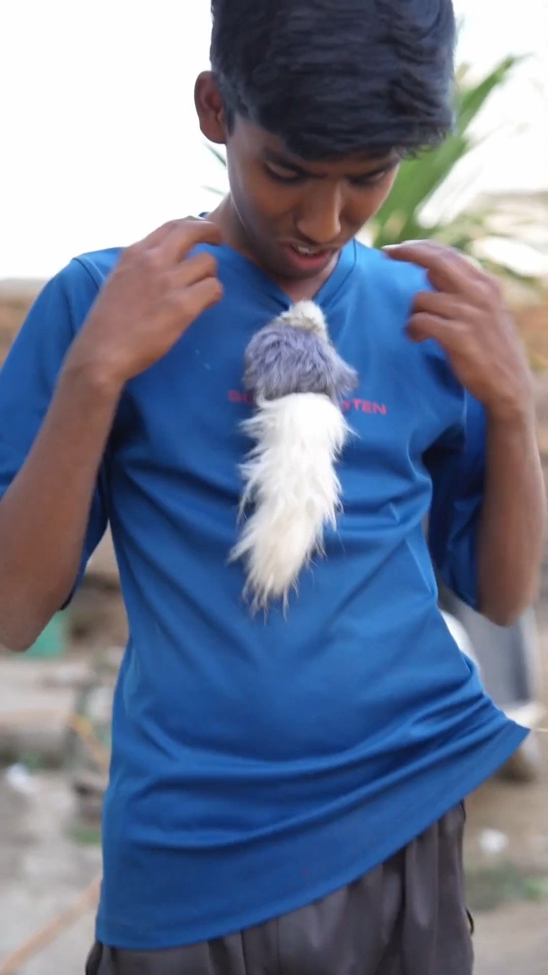 CHOTU KA FAKE MOUSE #shorts @FACTFIREKING