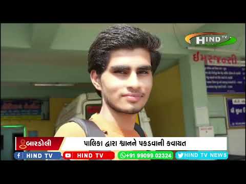 બારડોલી નગરમાં રખડતા શ્વાનનો આતંક