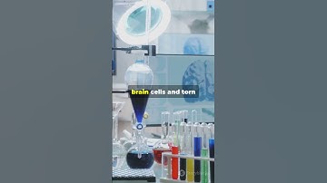 Blast Shock Waves vs. Rat Brains: What Science Reveals! #ScienceFather#researchawards#labtechnicians