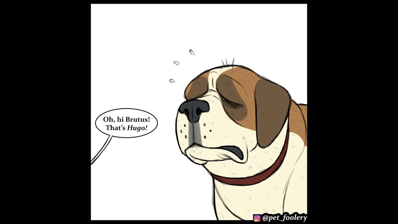 Hugo Meets Brutus For The First Time | Pixie and Brutus Comic by Pet_foolery 