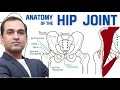 Hip joint pain ||| Hip joint pain anatomy!physiology! problems and hip joint pain treatment