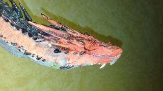 Weta Workshop - Smaug The Terrible Statue