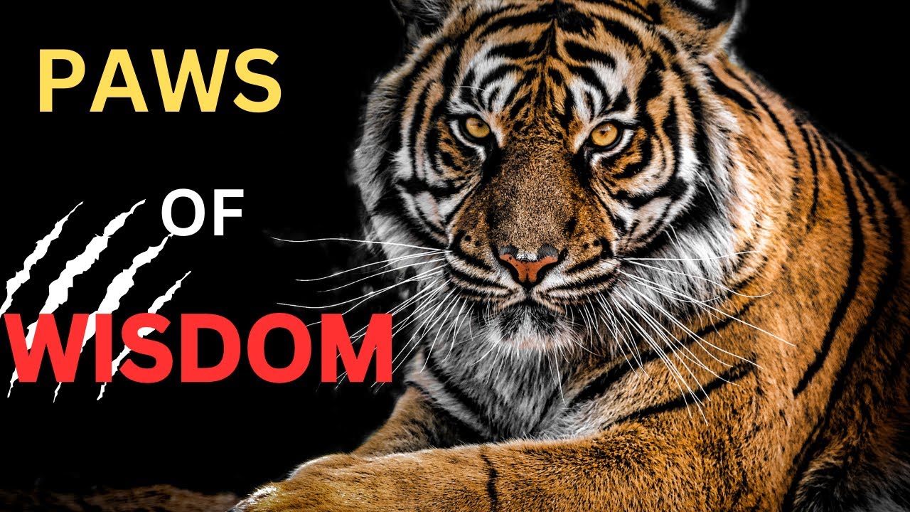 Roaring Insights: Big Cat's Wisdom to Transform Your Life
