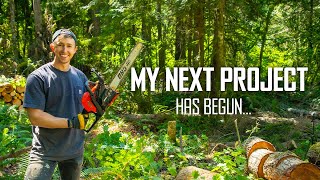 Revealing the Plan for My Next Build