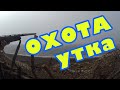 Осенняя охота на утку 2019. Как нельзя стрелять!