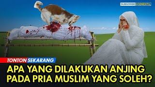 Akhirnya Jenazah Pria Soleh itu... yang Bahkan Dilakukan oleh Anjing
