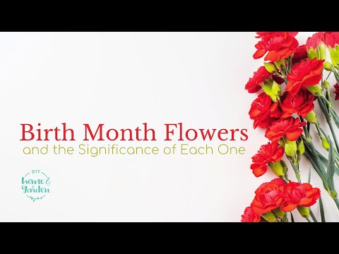 Birth Month Flowers and the Significance of Each One