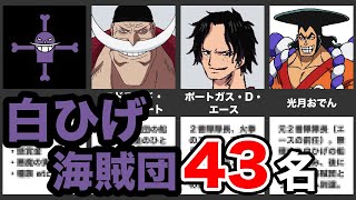 ワンピース 登場人物 キャラクター 一覧 23完全版 ブログの神様 The God Of Blog 2ページ