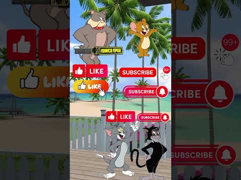 من اكل الكلب الصغير جيري او توم او قط الشارع