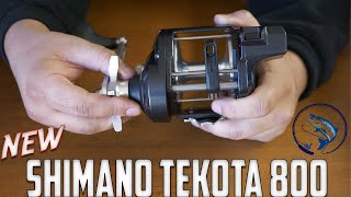 First Impressions of the NEW Shimano Tekota 800PGLC Reel 