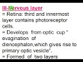 Eye Part II a pigmented epithelium Dr. Ahmed Sayed