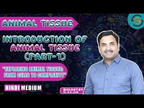 Introduction of Animal Tissue (Animal Tissue) Part-1 | Hindi Medium -  YouTube