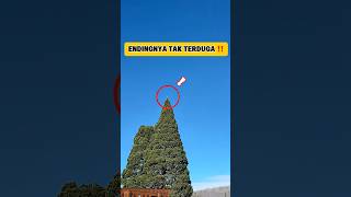 After Zooming, This Tree Top Shocks You‼️#shorts