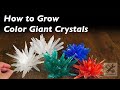 How to Grow Color Giant Crystal