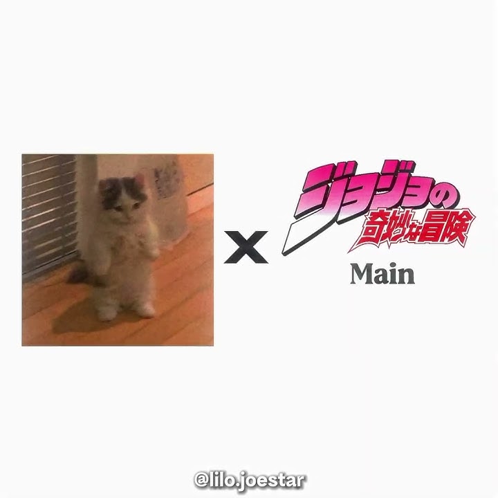 standing cat meme x jojos (part 1) #foryou #jjba #jojo #fvn #lvl1 #edit #jojosbizzareadventure