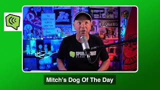 Mitch's Dog of the Day 1/3/21: Free NFL Betting Picks Predictions and Betting Tips