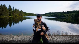 Ned The Border Terrier  4k Cinematic Sony Alpha a7c