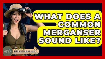 What Does A Common Merganser Sound Like? - Bird Watching Diaries