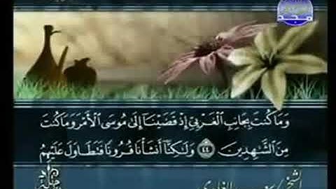 سورة القصص  من الآية 44 الى الآية 59