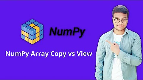 NumPy Array Copy vs View