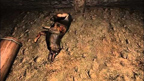 Penumbra: Overture wolf/dog glitch