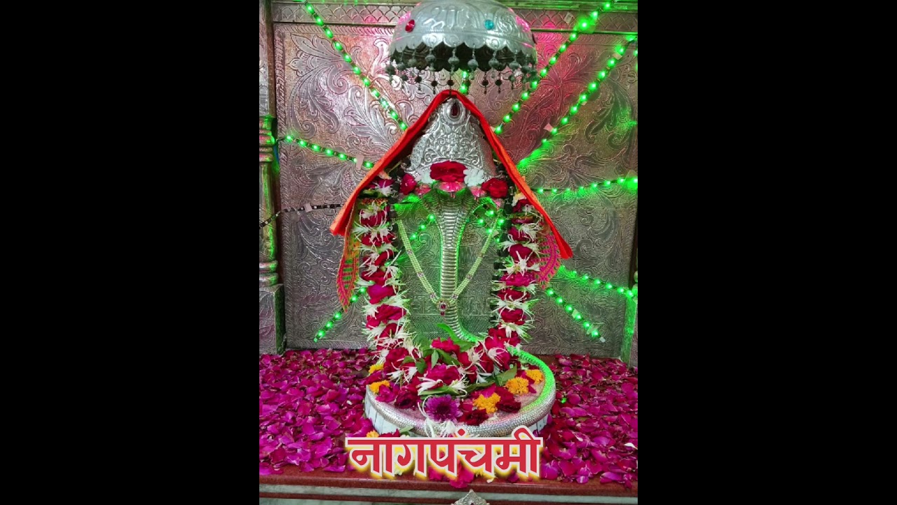 शंभूशेष_बारी भजन #नागपंचमी #नागपंचमीस्पेशल_2025#भिलटेक_बारी #शंभूशेष_महाराज#वारकरी #बारी