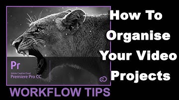 How to Organize Your Premiere Pro Projects