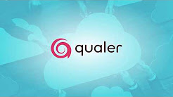 Qualer Demo - Work Order Process