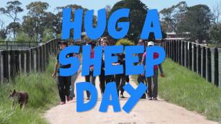 Hug A Sheep Day