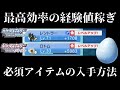 【ダイパリメイク】レベル上げ・経験値稼ぎの最高効率はこれ!必須アイテムの入手方法も紹介!【ダイヤモンドパール】