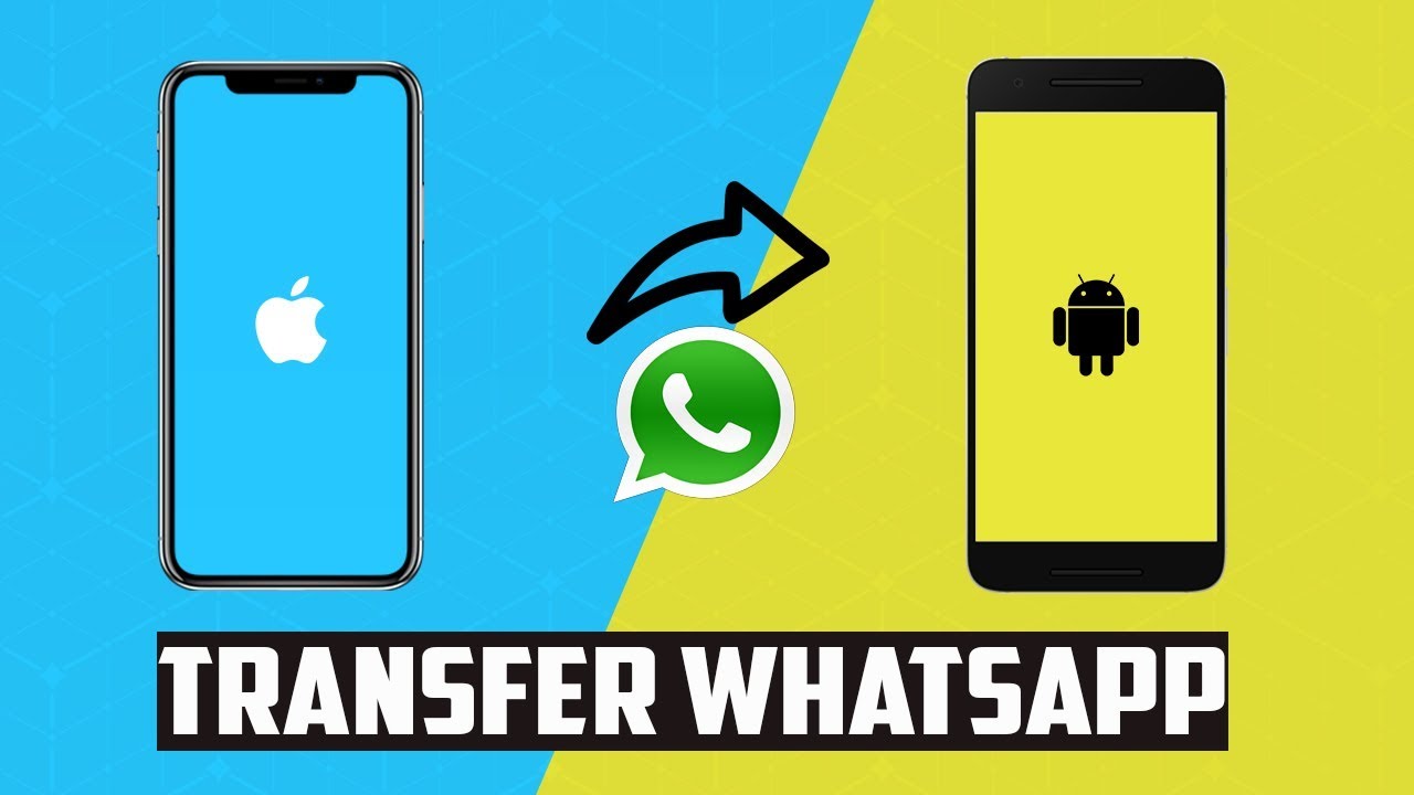 How to Transfer WhatsApp from iPhone to Android: 3 Simple Steps